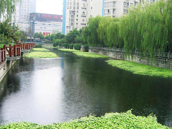 自然水體修復