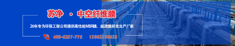 網(wǎng)頁(yè)探頭2